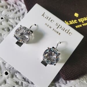 Kate Spade NWT Large Clear CZ Rhinestone 14k Gold PL Drop Earrings & Pouch J-541